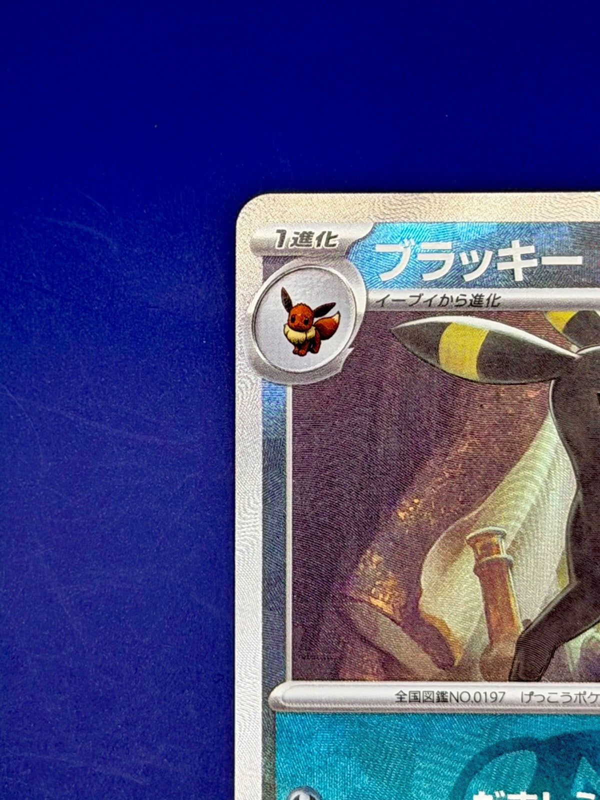 Pokemon Card Umbreon 092/187 Masterball Terastal Festival Japanese Near Mint