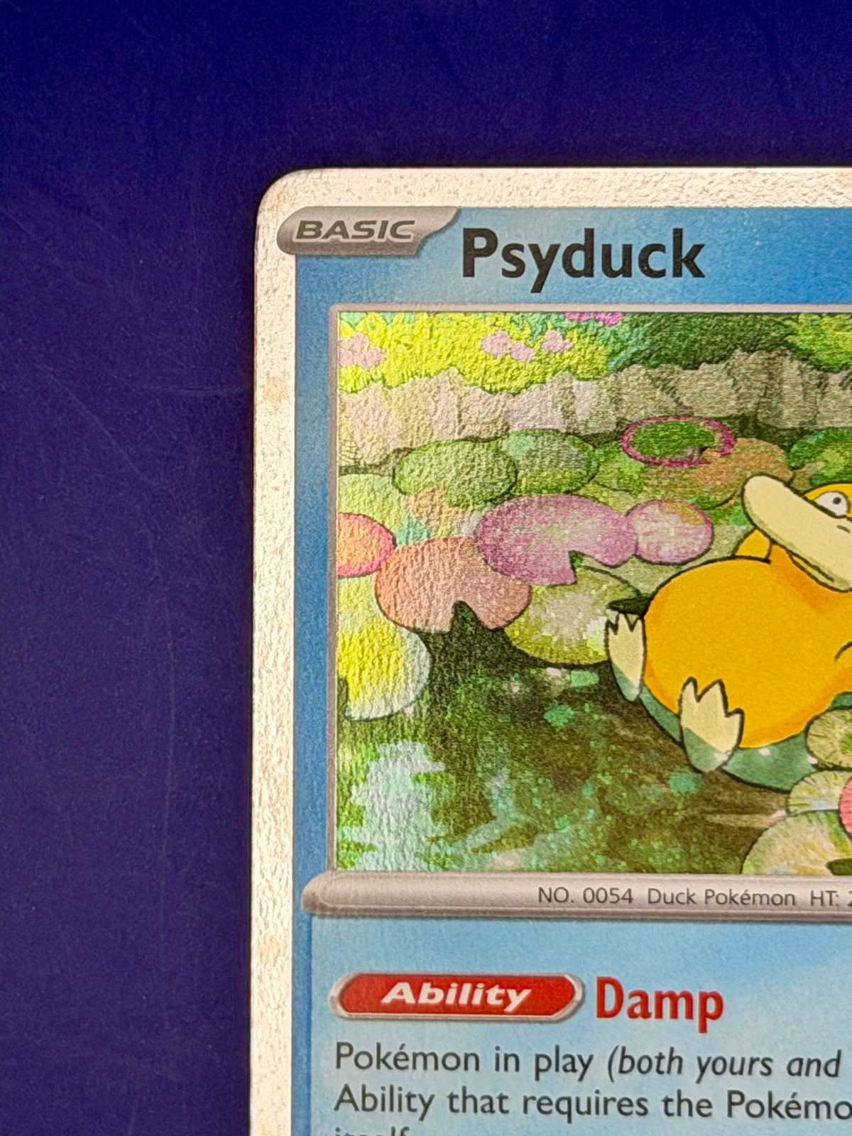 Psyduck MEP 007 – Mega Evolution Black Star Promos | English – Near Mint