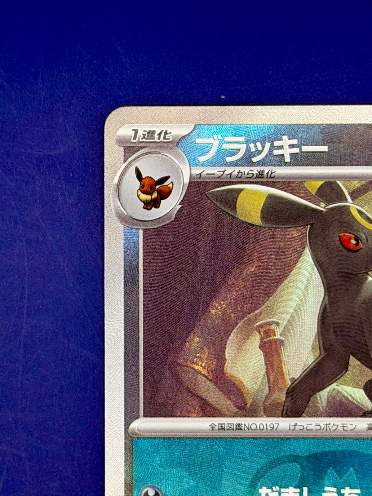 Umbreon 092/187 – Terastal Festival ex (SV8a) | Japanese Master Ball Reverse Holo